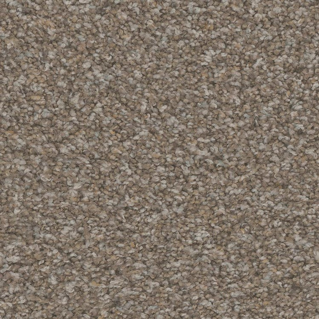 Phenix Floor Ever Pet Plus 12' Rhodes Carpet Tile