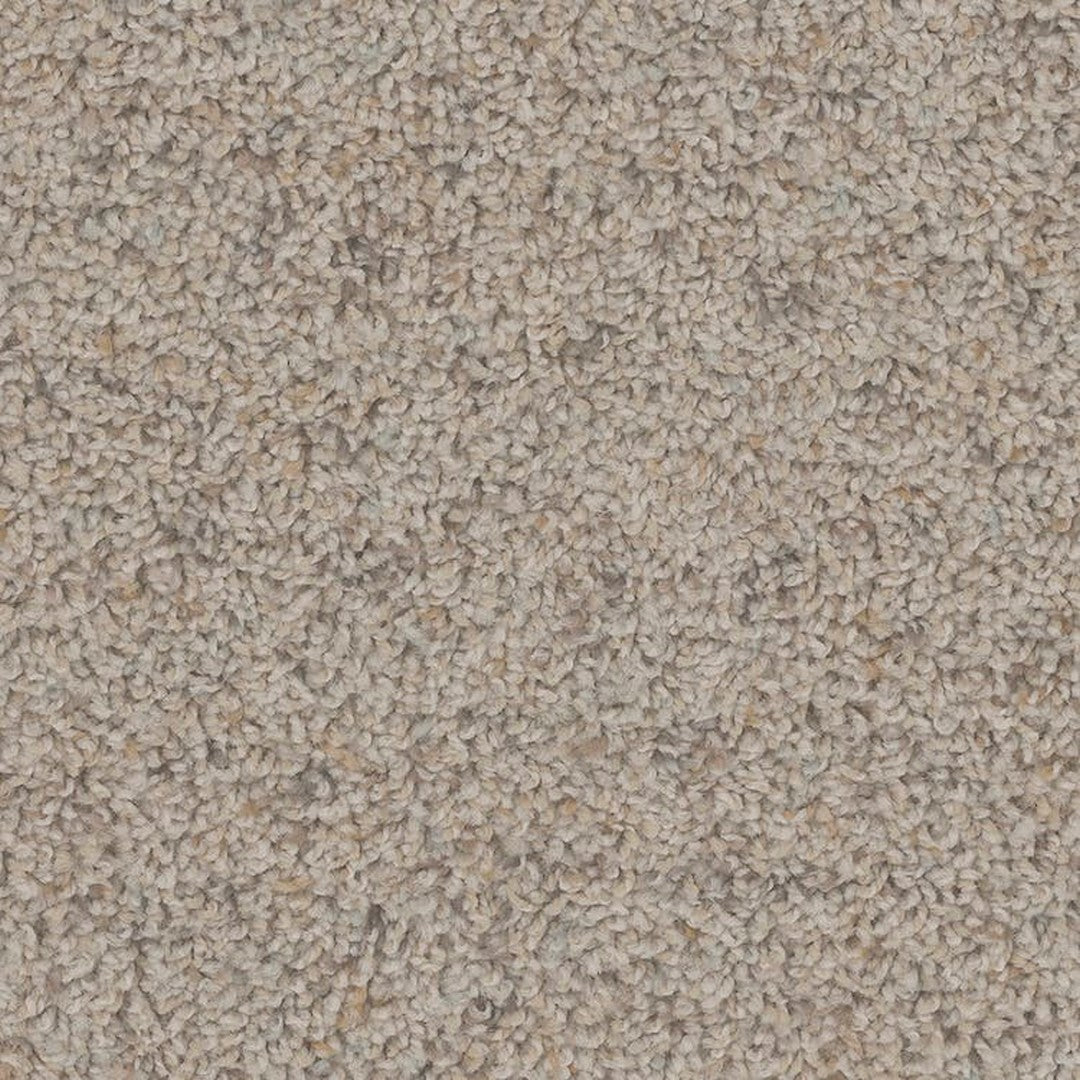 Phenix Floor Ever Pet Plus Crete 12' Carpet Tile