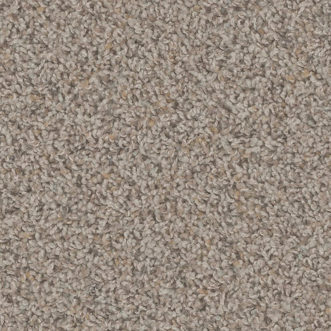 Phenix Floor Ever Pet Plus Crete 12' Carpet Tile