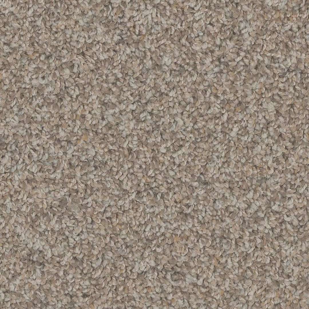 Phenix Floor Ever Pet Plus Crete 12' Carpet Tile