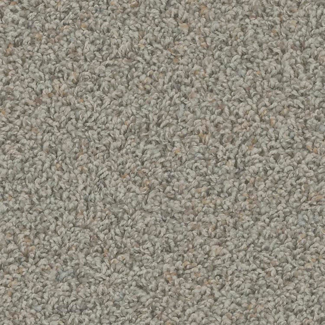 Phenix Floor Ever Pet Plus Crete 12' Carpet Tile