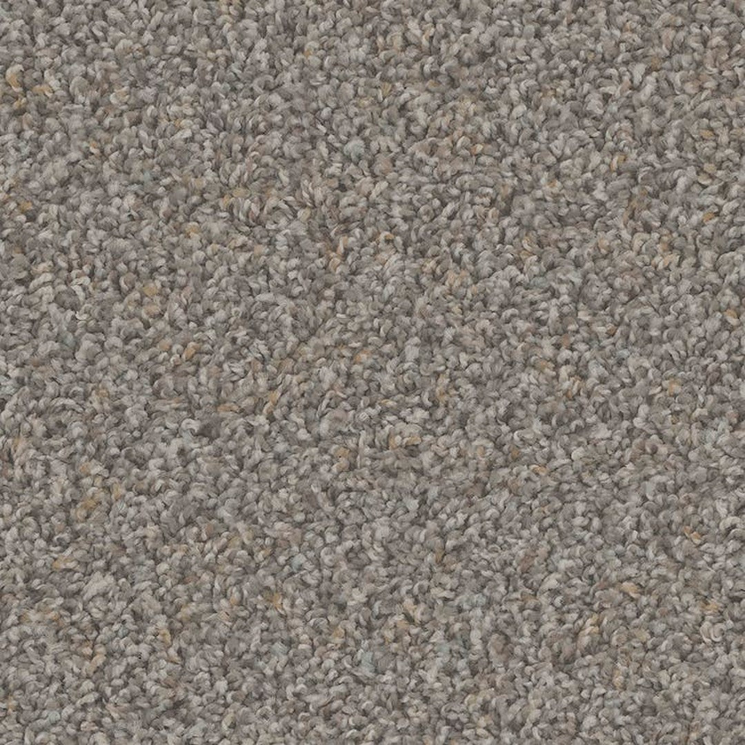 Phenix Floor Ever Pet Plus Crete 12' Carpet Tile