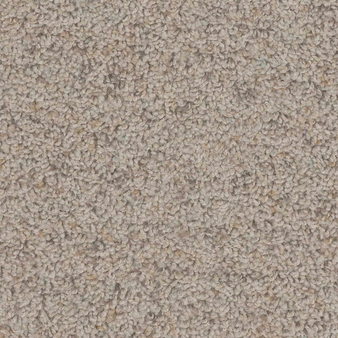 Phenix Floor Ever Pet Plus 12' Sparta Carpet Tile