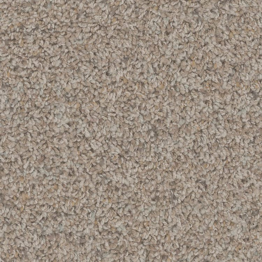 Phenix Floor Ever Pet Plus 12' Sparta Carpet Tile