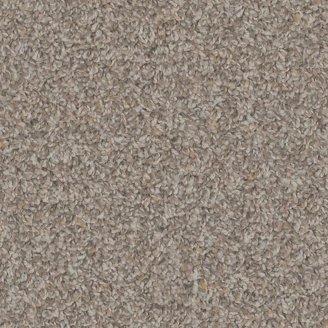 Phenix Floor Ever Pet Plus 12' Sparta Carpet Tile