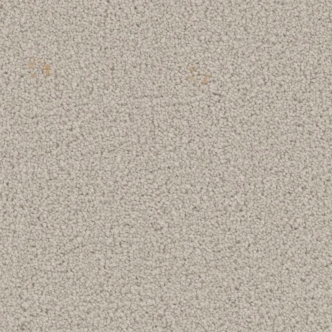 Phenix Floor Ever Pet Plus 12' Emerson Carpet Tile