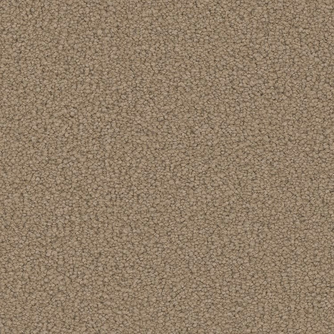 Phenix Floor Ever Pet Plus 12' Emerson Carpet Tile