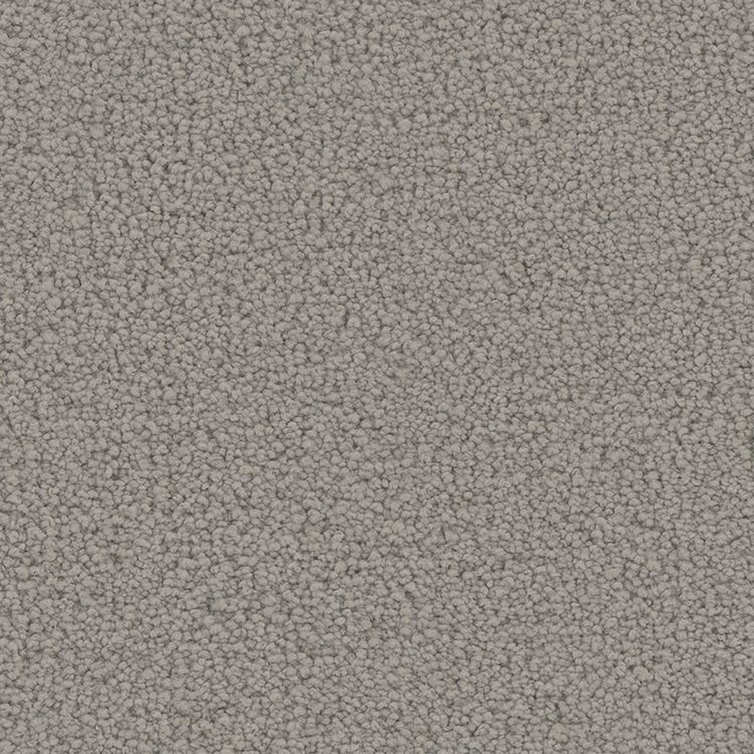 Phenix Floor Ever Pet Plus 12' Emerson Carpet Tile