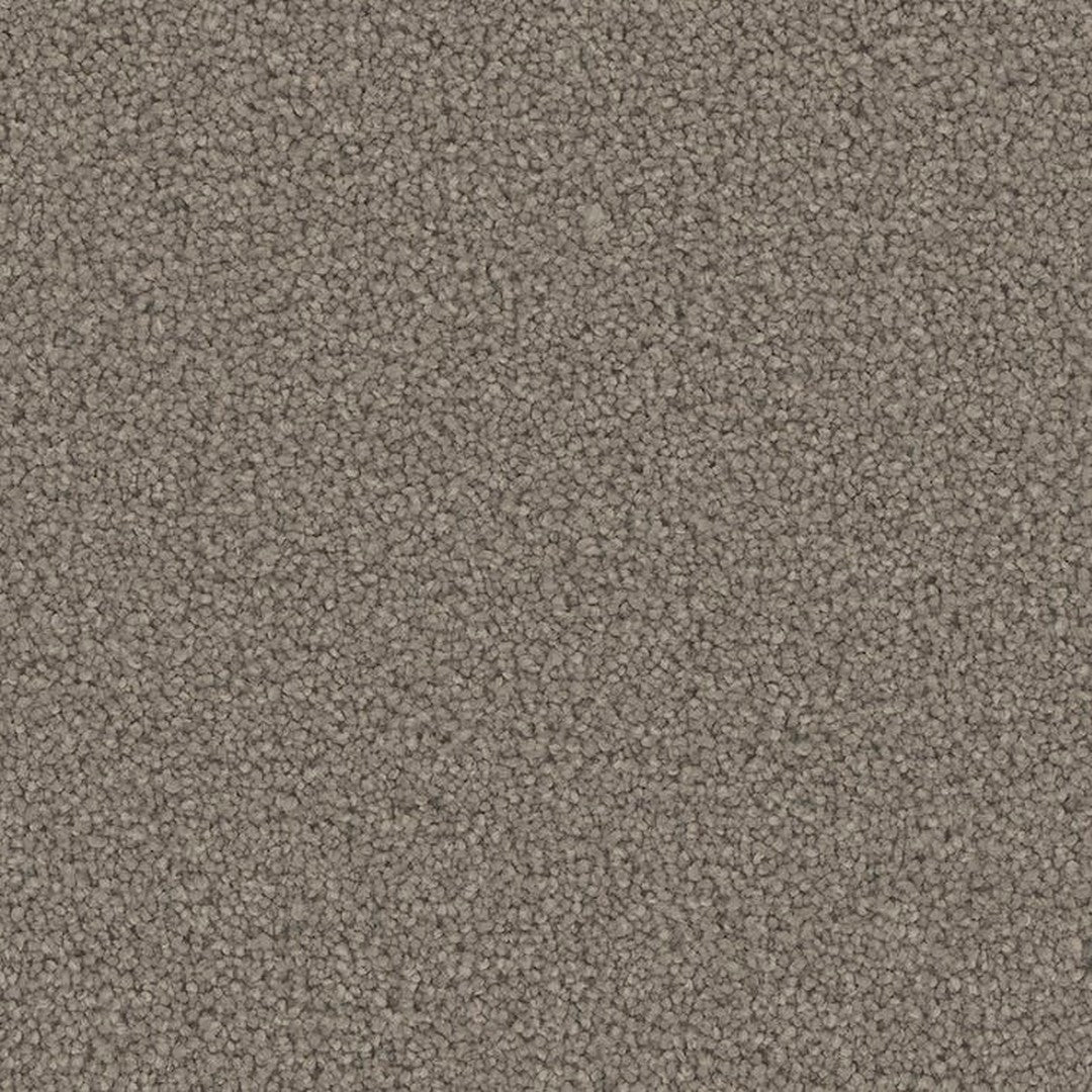 Phenix Floor Ever Pet Plus 12' Emerson Carpet Tile