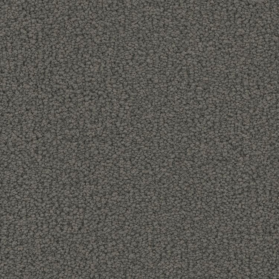 Phenix Floor Ever Pet Plus 12' Emerson Carpet Tile