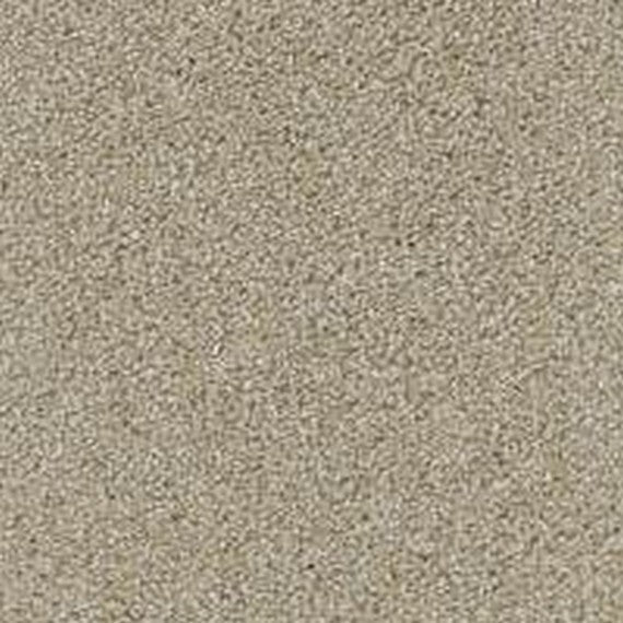 Phenix Floor Ever Pet Plus 12' Balboa Carpet Tile