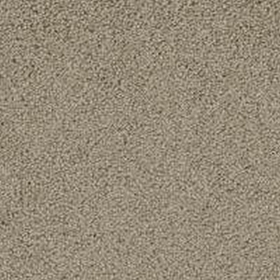 Phenix Floor Ever Pet Plus 12' Balboa Carpet Tile