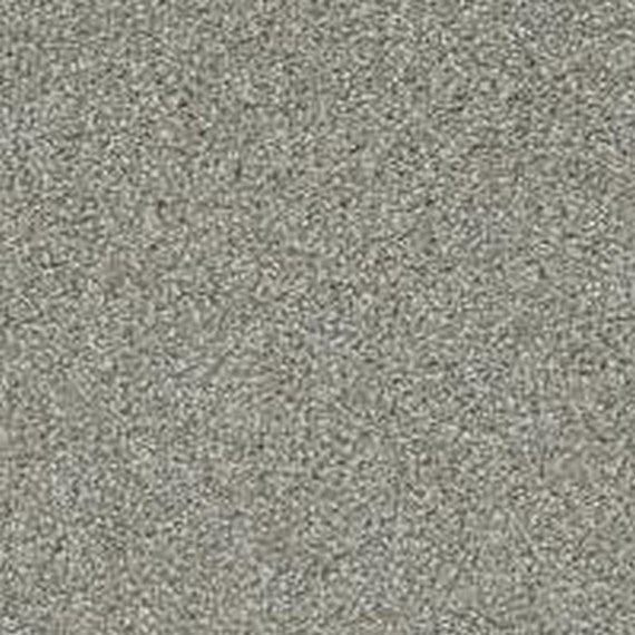 Phenix Floor Ever Pet Plus 12' Lido Carpet Tile