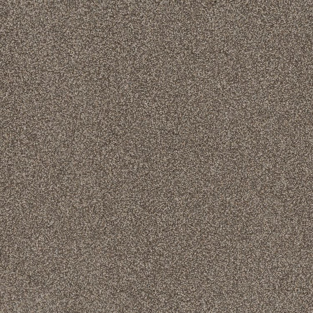 Phenix Floor Ever Pet Plus 12' Portofino Carpet Tile