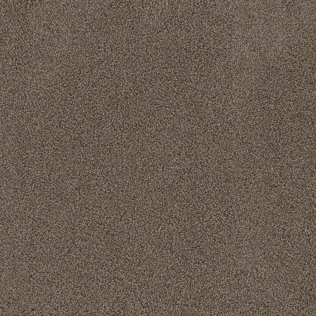 Phenix Floor Ever Pet Plus 12' Portofino Carpet Tile