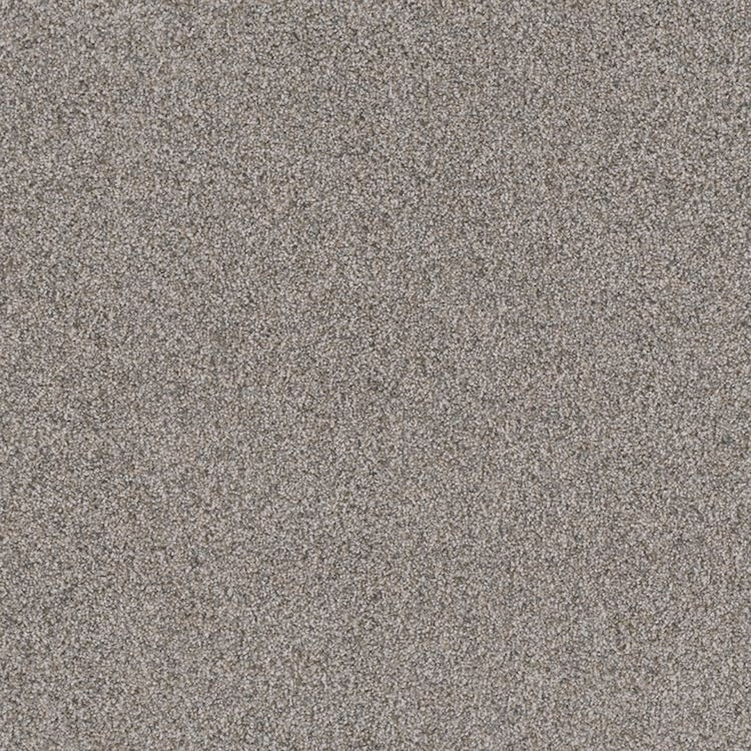 Phenix Floor Ever Pet Plus 12' Portofino Carpet Tile