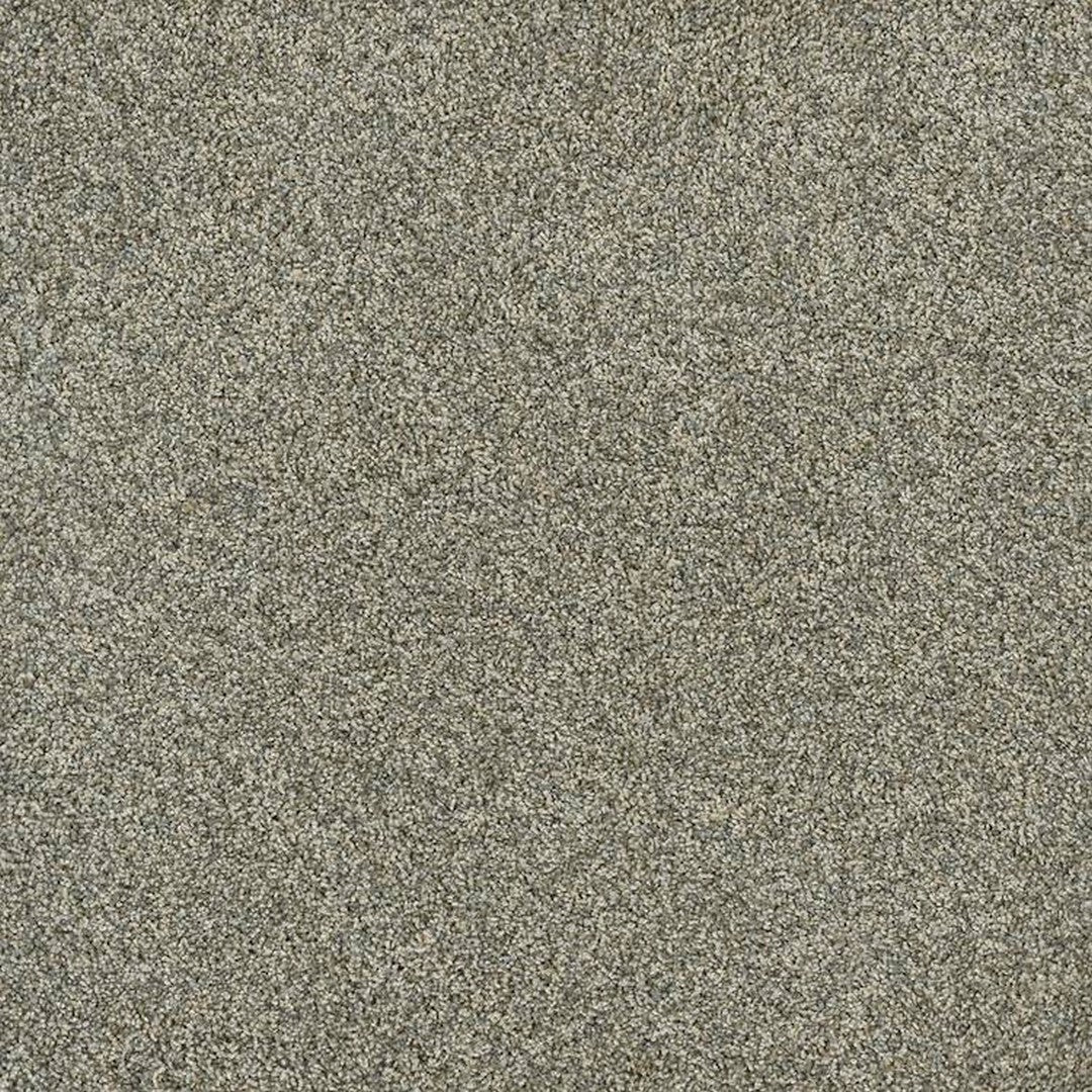 Phenix Floor Ever Pet Plus 12' Portofino Carpet Tile