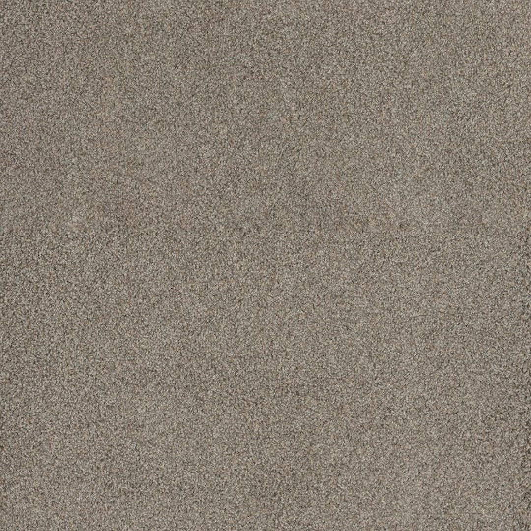 Phenix Floor Ever Pet Plus 12' Portofino Carpet Tile