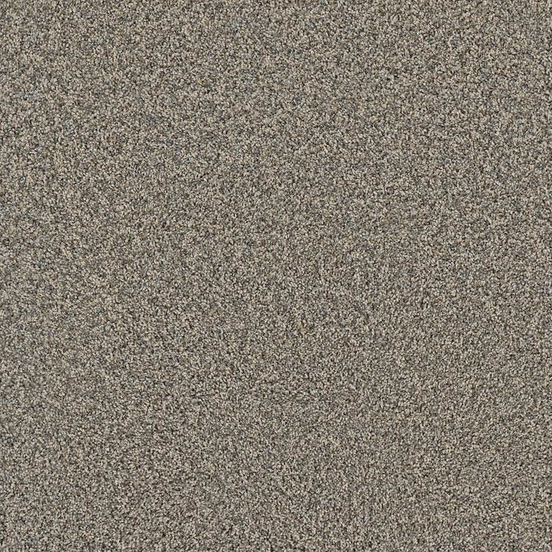 Phenix Floor Ever Pet Plus 12' Sorrento Carpet Tile