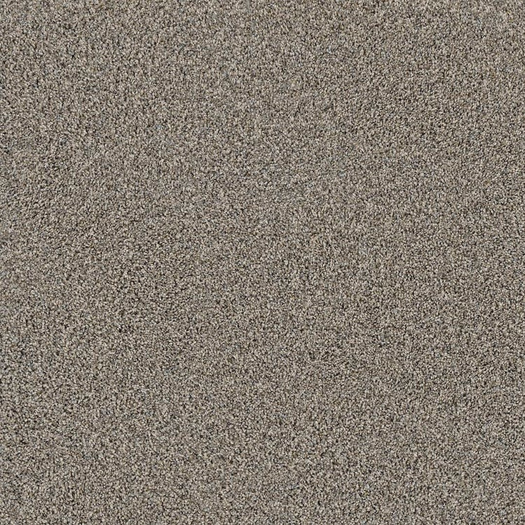 Phenix Floor Ever Pet Plus 12' Sorrento Carpet Tile