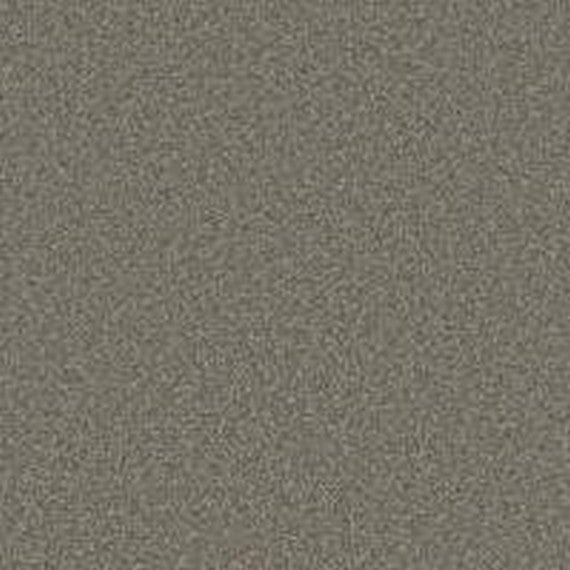 Phenix Floor Ever Pet Plus 12' Luna Carpet Tile