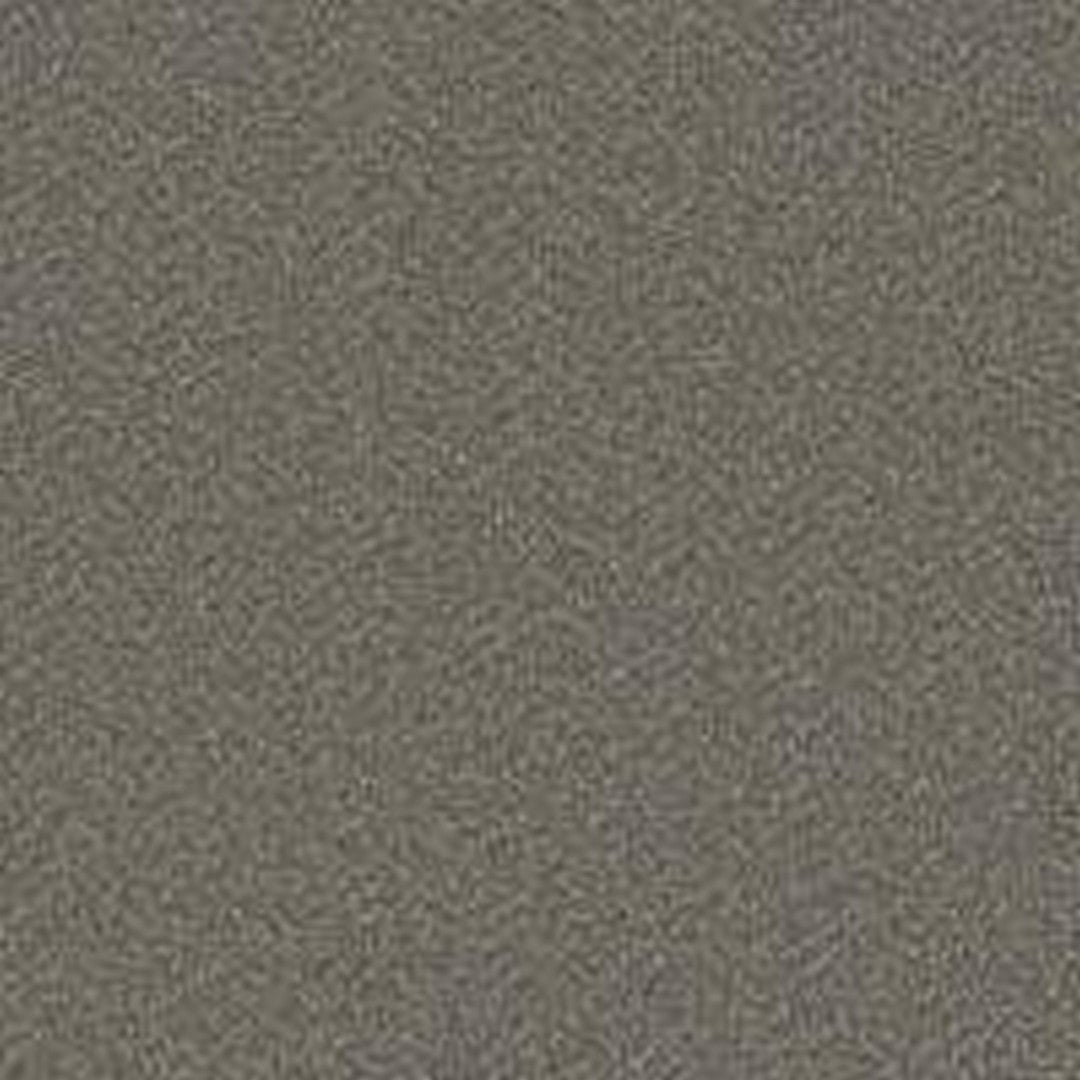 Phenix Floor Ever Pet Plus 12' Milo Carpet Tile