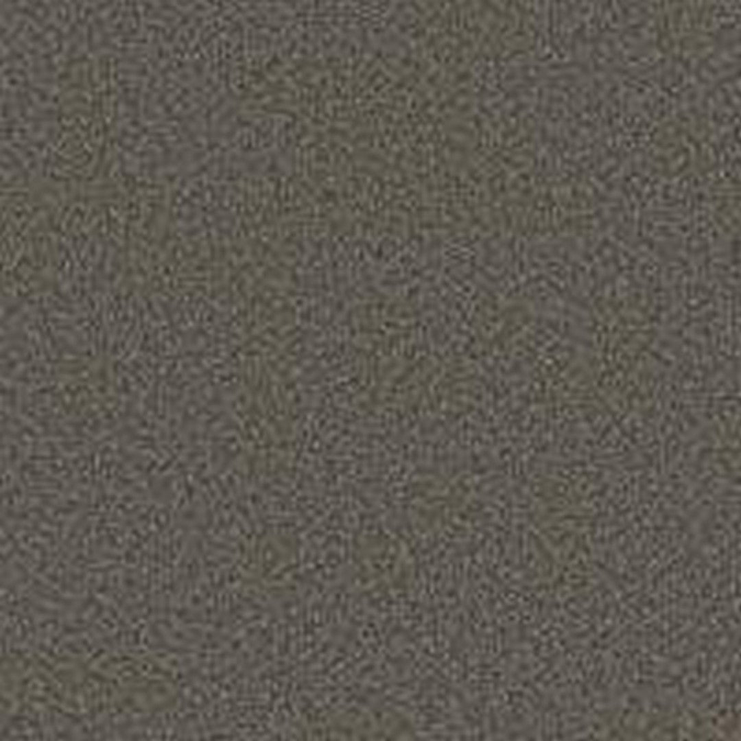 Phenix Floor Ever Pet Plus 12' Milo Carpet Tile