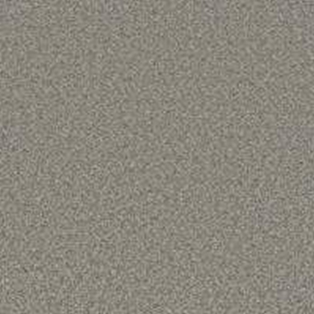 Phenix Floor Ever Pet Plus 12' Milo Carpet Tile