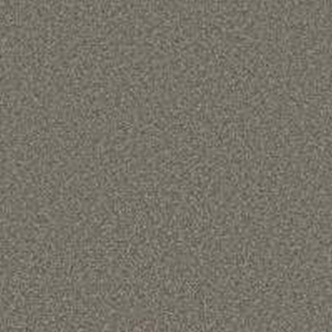 Phenix Floor Ever Pet Plus 12' Milo Carpet Tile