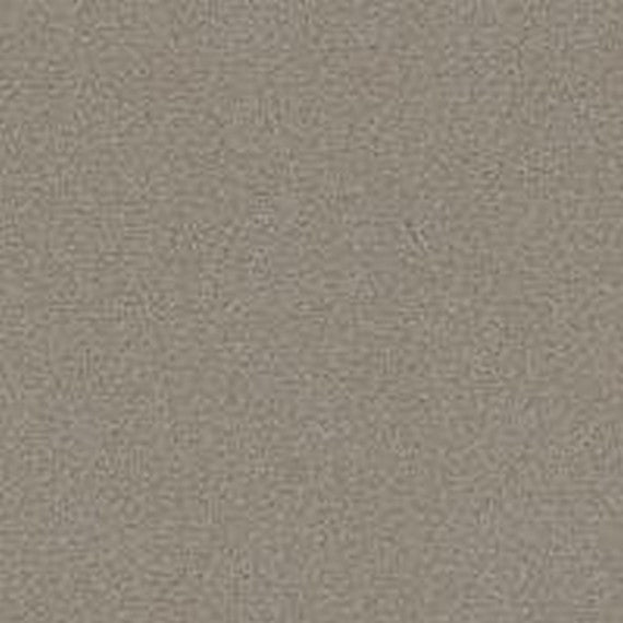 Phenix Floor Ever Pet Plus 12' Naples Carpet Tile