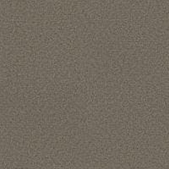 Phenix Floor Ever Pet Plus 12' Naples Carpet Tile