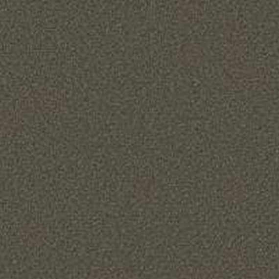 Phenix Floor Ever Pet Plus 12' Naples Carpet Tile