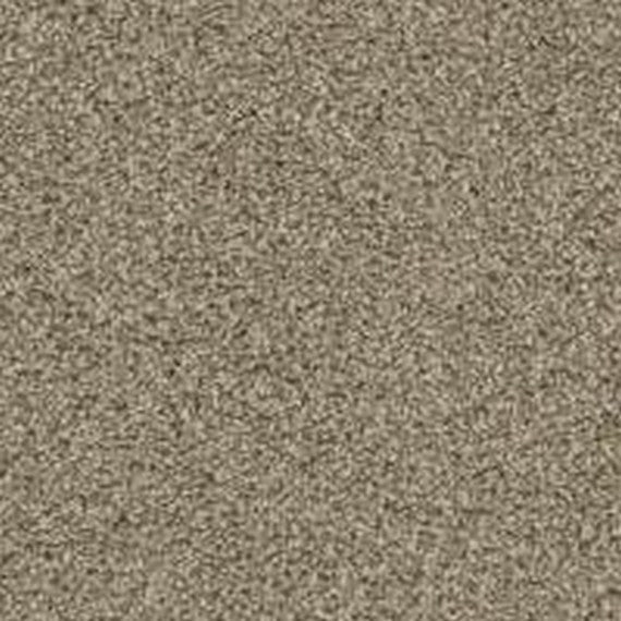 Phenix Floor Ever Pet Plus Crystal Cove 12' Carpet Tile