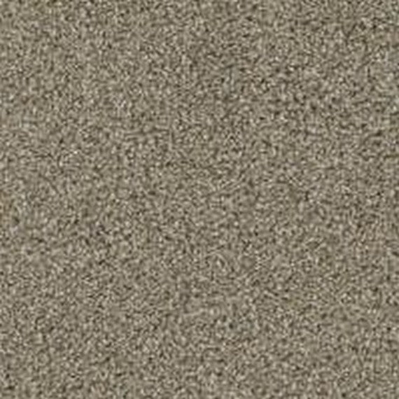 Phenix Floor Ever Pet Plus Crystal Cove 12' Carpet Tile