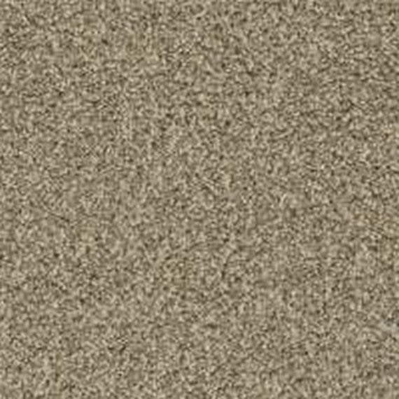 Phenix Floor Ever Pet Plus Crystal Cove 12' Carpet Tile