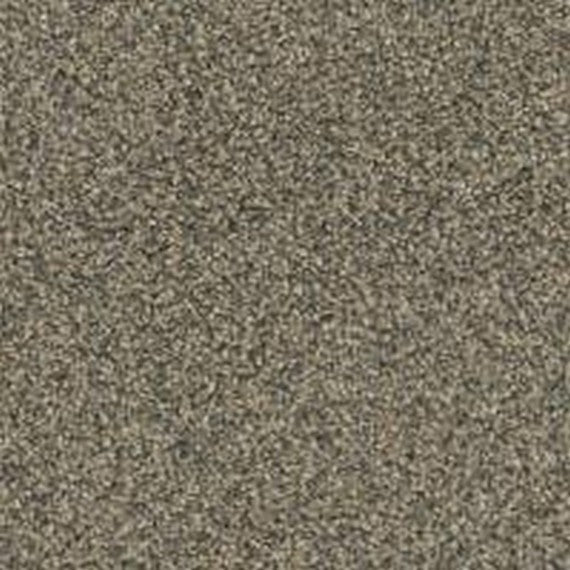 Phenix Floor Ever Pet Plus Crystal Cove 12' Carpet Tile