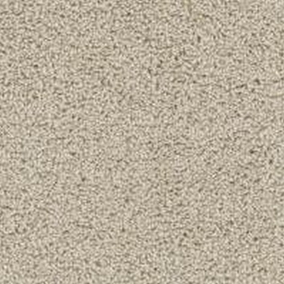 Phenix Floor Ever Pet Plus Crystal Cove 12' Carpet Tile