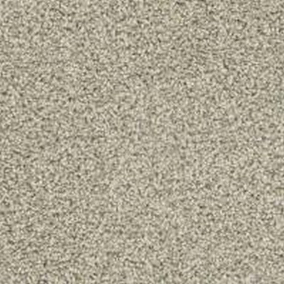 Phenix Floor Ever Pet Plus Crystal Cove 12' Carpet Tile