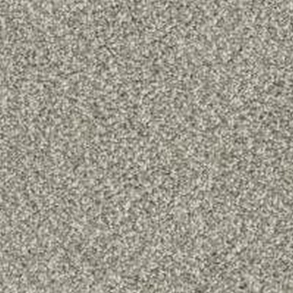 Phenix Floor Ever Pet Plus Crystal Cove 12' Carpet Tile