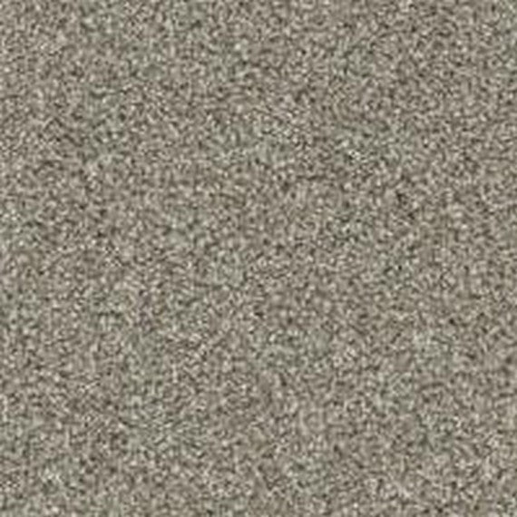 Phenix Floor Ever Pet Plus Crystal Cove 12' Carpet Tile