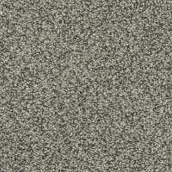 Phenix Floor Ever Pet Plus Crystal Cove 12' Carpet Tile