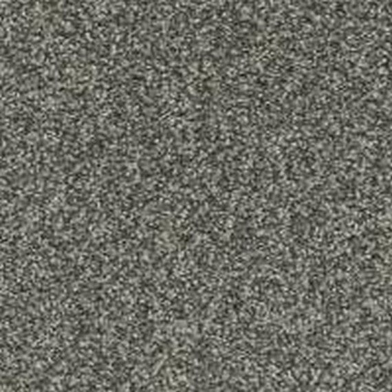 Phenix Floor Ever Pet Plus Crystal Cove 12' Carpet Tile