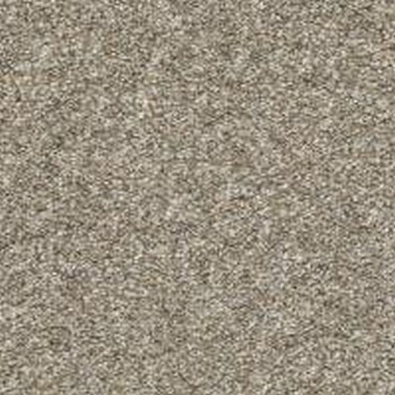 Phenix Floor Ever Pet Plus 12' Paxton Carpet Tile