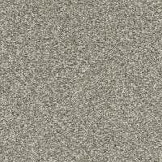 Phenix Floor Ever Pet Plus 12' Paxton Carpet Tile