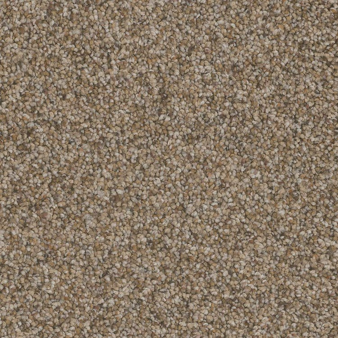 Phenix Floor Ever Pet Plus 12' Bari Carpet Tile