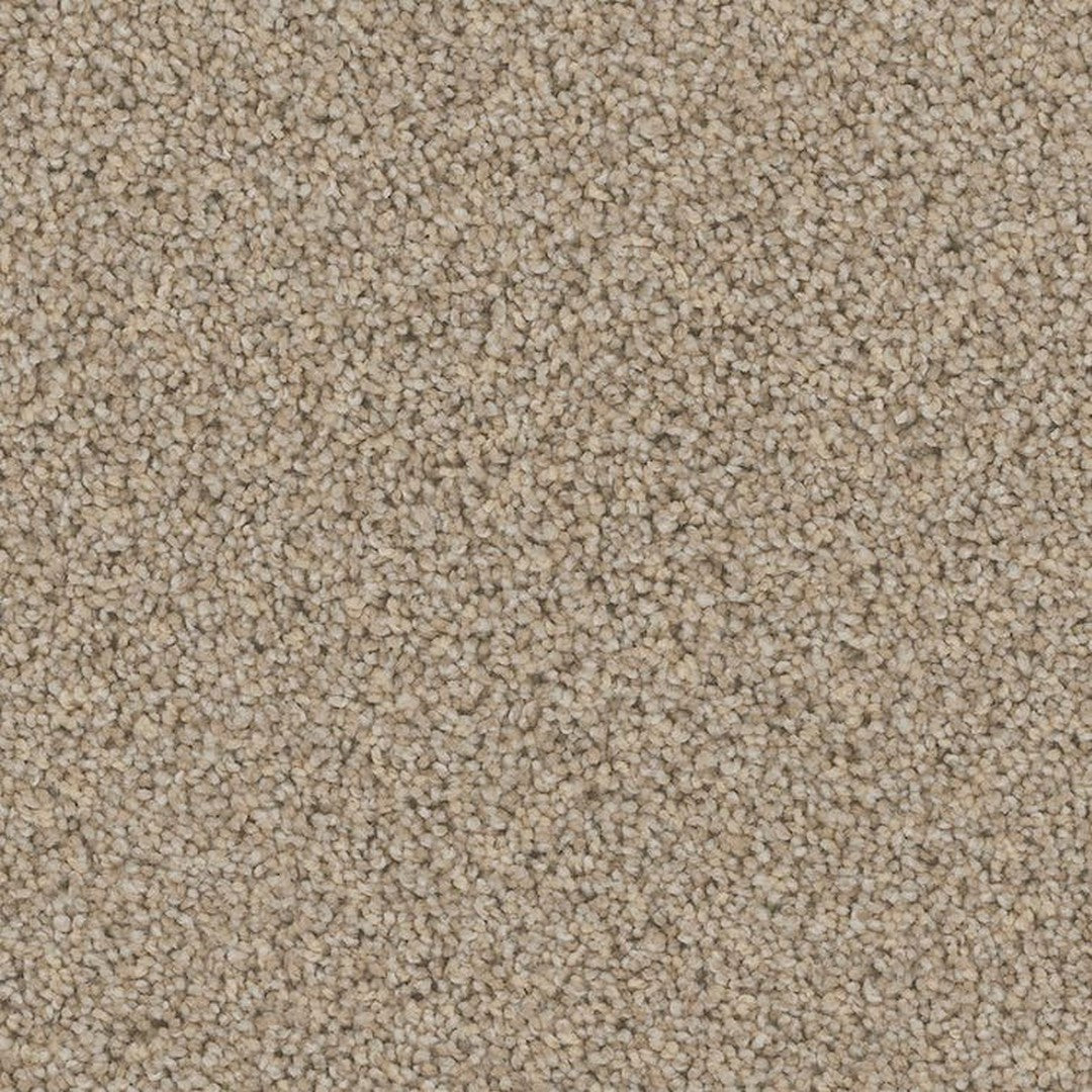 Phenix Floor Ever Pet Plus 12' Catania Carpet Tile