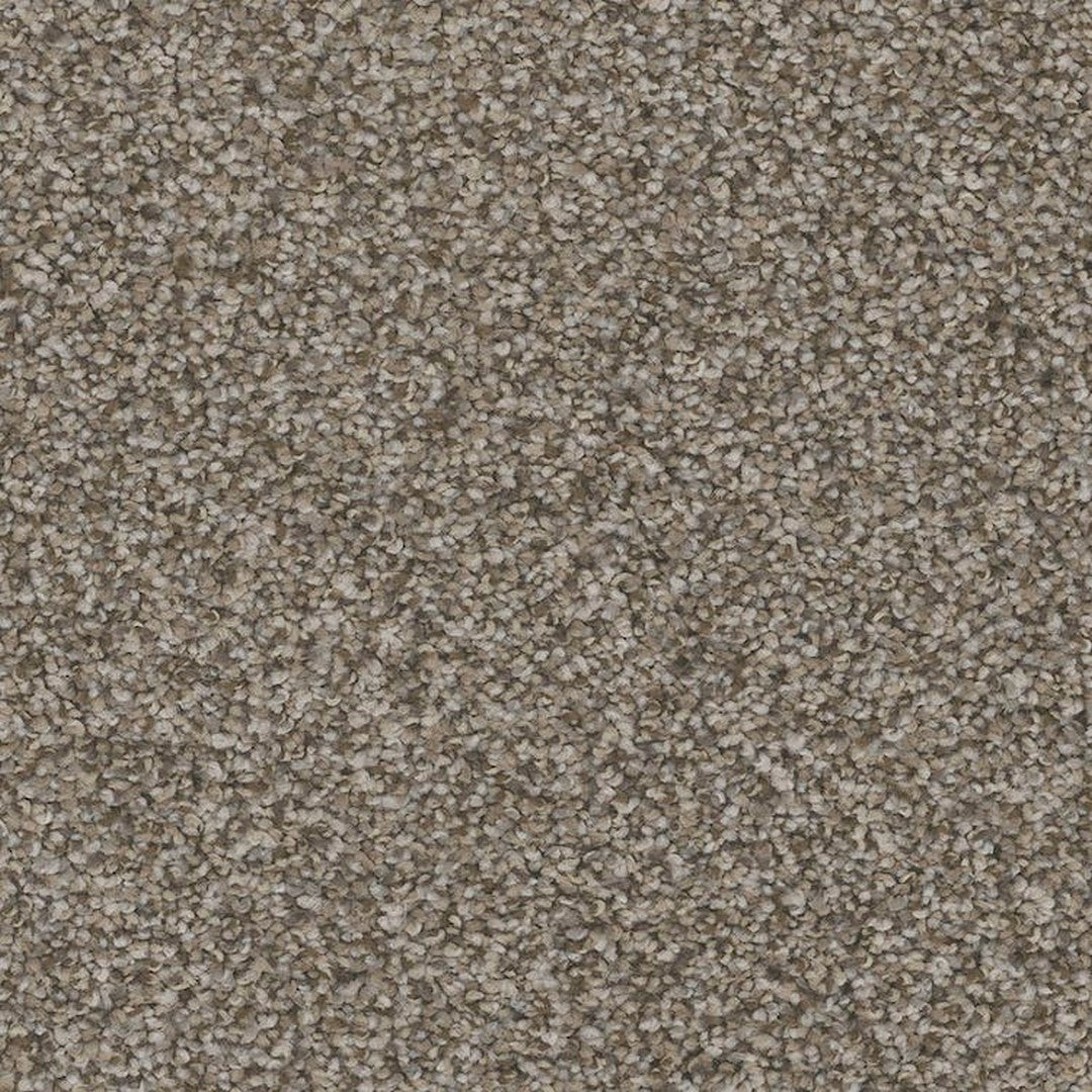 Phenix Floor Ever Pet Plus 12' Catania Carpet Tile