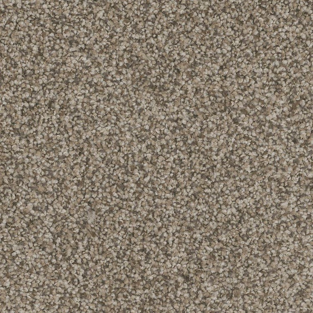 Phenix Floor Ever Pet Plus 12' Palermo Carpet Tile