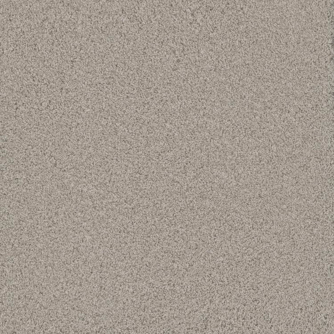 Phenix Floor Ever Pet Plus 12' Bougie Carpet Tile