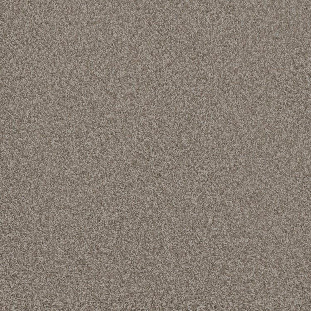 Phenix Floor Ever Pet Plus 12' Luxe Carpet Tile